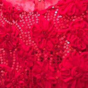 Girl’s special occasion dress Size 12